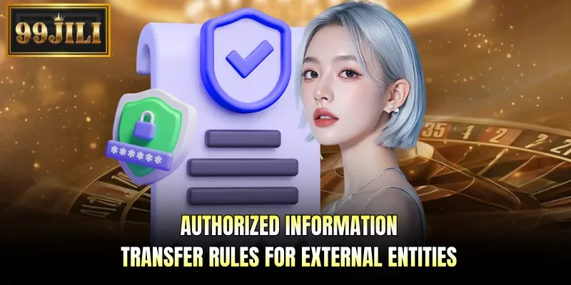 Authorized information transfer rules for external entities